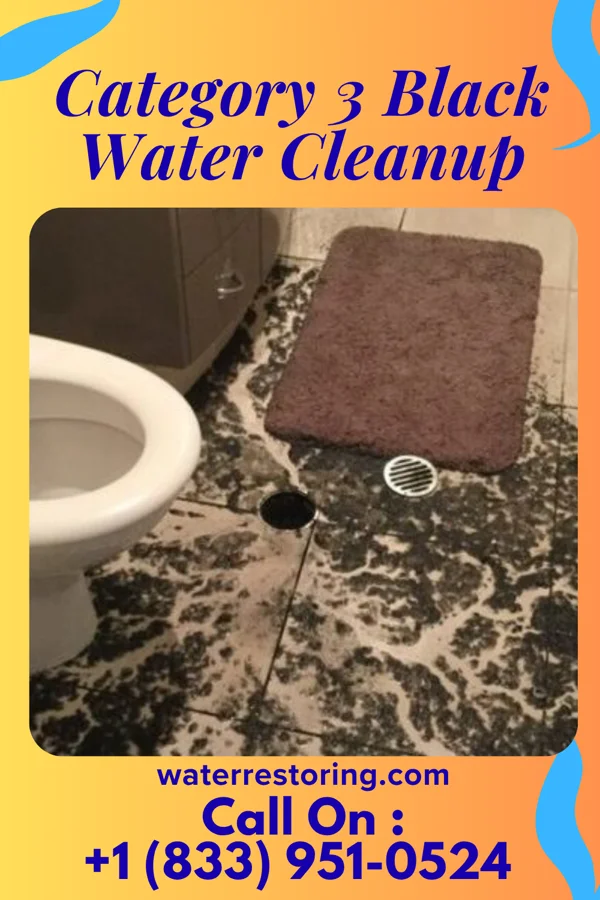 Category 3 Black Water Cleanup in Discovery Harbour, HI