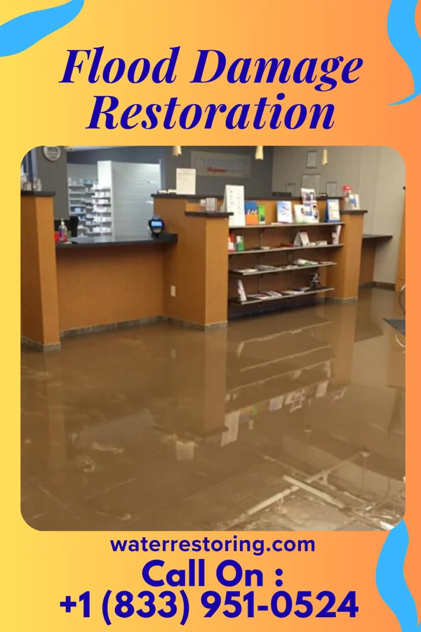 Flood Damage Restoration in Discovery Harbour, HI
