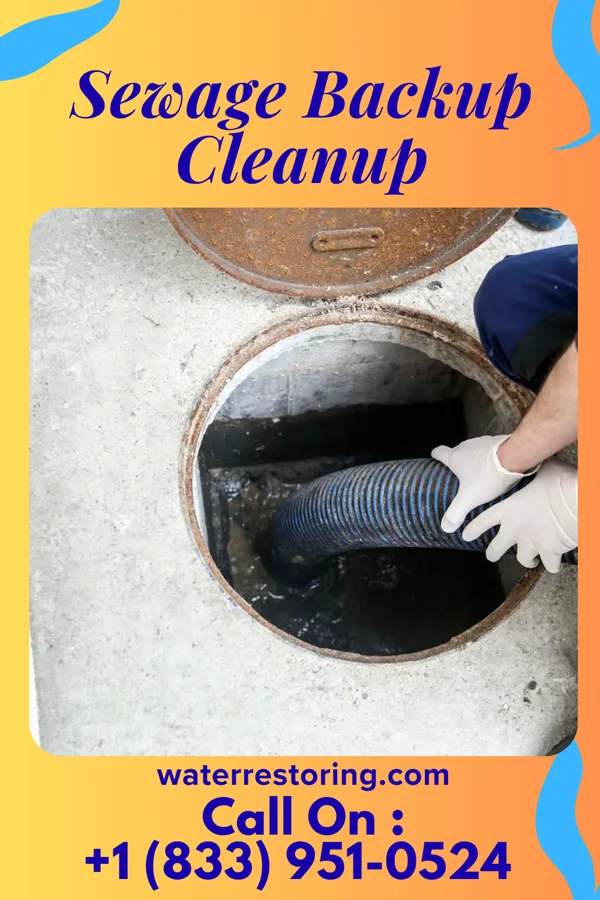 Sewage Backup Cleanup in Discovery Harbour, HI