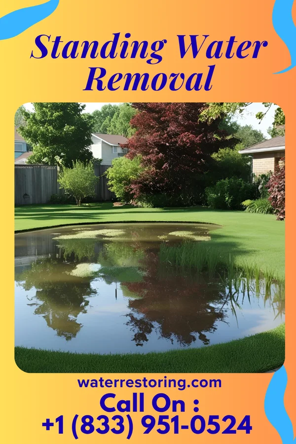 Standing Water Removal in Discovery Harbour, HI